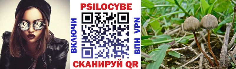 Псилоцибиновые грибы мухоморы  Артёмовск 
